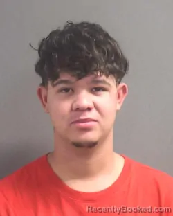 Booking photo from Volusia County, Florida