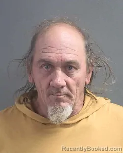 Mugshot of DAVID WAYNE MCDONALD