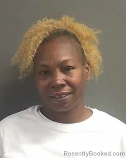 Mugshot of LAKEITA S BRYANT