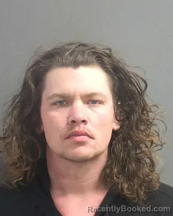 Mugshot of VINCENT E PARRILLO