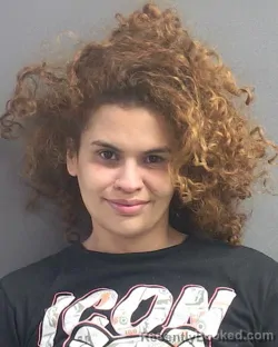 Mugshot of AALIYAH JADA FIGUEROA