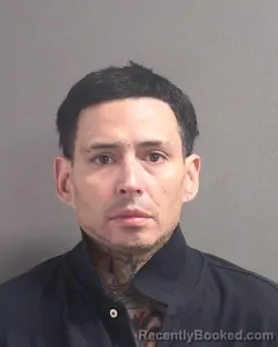 Mugshot of MICHAEL J GIOVANNELLI