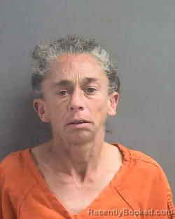 Mugshot of SARAH JOY STEPHENS