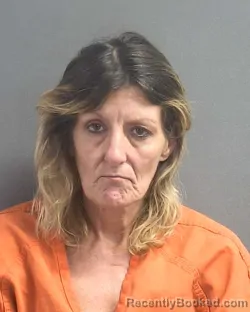 Mugshot of RAYLENE BRUNSON