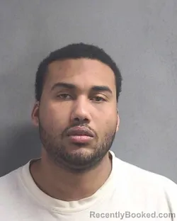 Mugshot of FRANKLIN DOSSETT TORRES