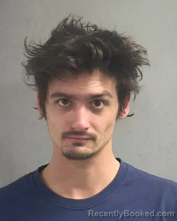 Mugshot of HARRISON ANTHONY DECAMILLIS