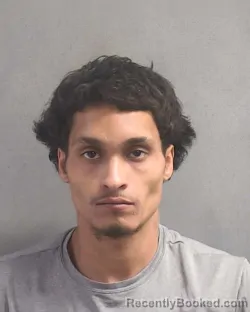 Mugshot of MIGUEL A NARVAEZ