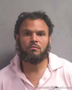 Mugshot of LUIS A VERA