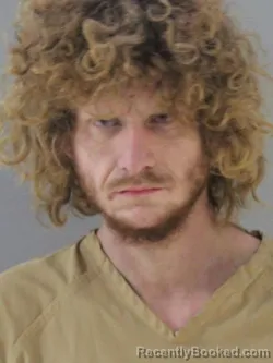 Mugshot of BLAKE E LAWSON