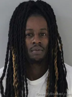 Mugshot of WILLIAM HAM