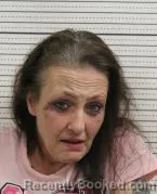 Mugshot of AMANDA D SCHULTZ