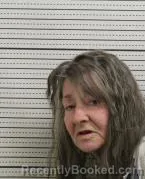 Mugshot of LEILA ANN DOLES
