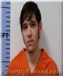 Mugshot of Luis Huitron Garcia