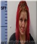 Mugshot of Donna Vore
