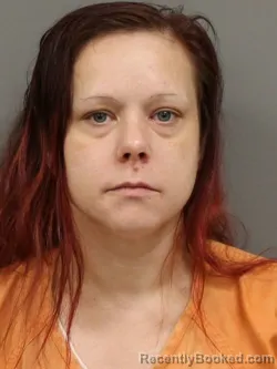 Booking photo from Shelby County, Ohio
