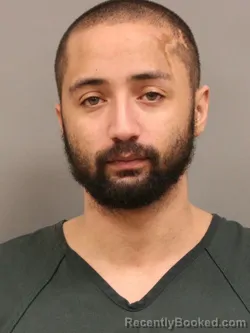 Mugshot of BRIAN OLIVER VINING