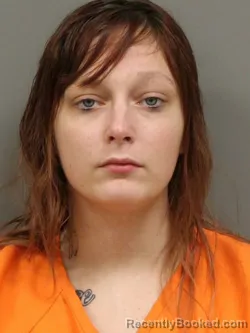 Booking photo from Shelby County, Ohio