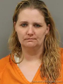 Mugshot of ASHLEY ANN NORBERG