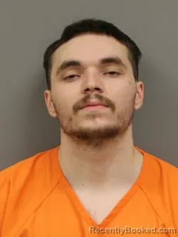 Mugshot of JONATHAN LEE HARMON