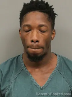 Mugshot of VIDOL ROSE LEE-SCHAUER