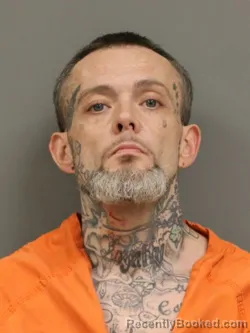 Mugshot of AL KING CHAPMAN