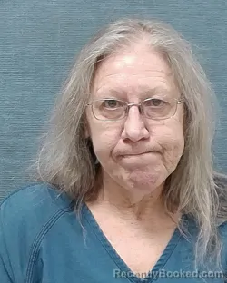 Mugshot of JUDITH ANN HALLY