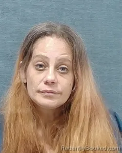 Mugshot of CHRISTINA LOUISE SCHMIT