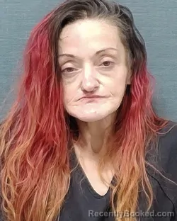 Mugshot of ELISHA STARR WILLIG