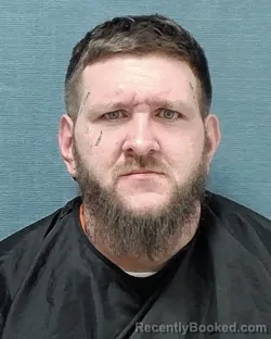 Mugshot of RANDY JOHN MCMASTERS