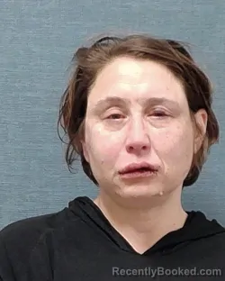 Mugshot of BOBBI LEE WILLIAMS