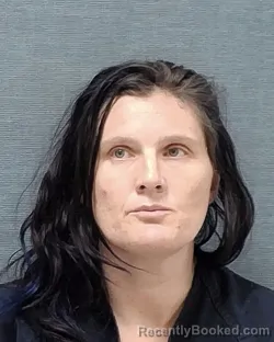 Mugshot of WHITNY LEELLEEN BILGER