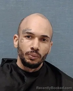 Mugshot of TROY GERARD HULETT