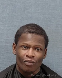 Mugshot of MONTE DONTAY MALLORY WILLIAMS