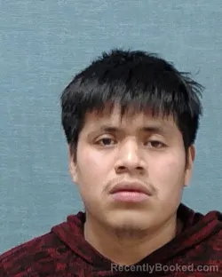 Mugshot of JOEL ADOLFO CALEL-MEJIA