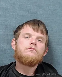 Mugshot of DAVID MATTHE BRYANT YOUNG