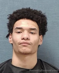 Mugshot of DAVION CRAIG HAMPTON