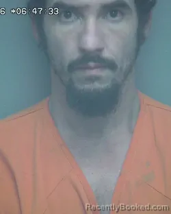 Mugshot of MICHAEL ALLEN WATSON