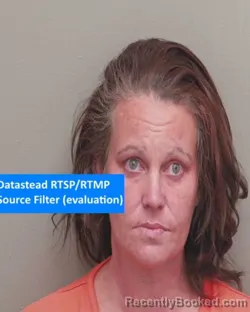 Mugshot of LESLIE ANNE MORRIS