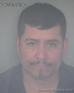 Mugshot of MARIO ALANIS