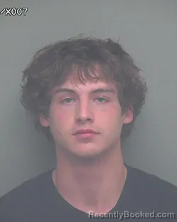 Mugshot of BRANDON GRANT SIMMONS