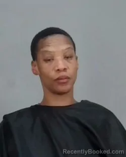 Booking photo from Summit County, Ohio