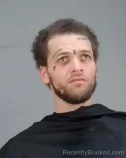 Mugshot of BRIAN KEITH NEWELL