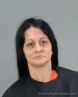 Booking photo from Summit County, Ohio