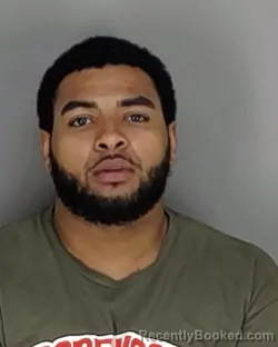 Mugshot of SILVER JA VAUNTE POWELL