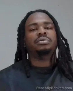 Mugshot of ANFRENEE DAJUN BUSH