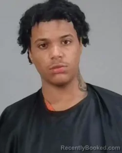 Mugshot of LESEAN TYLER HANN