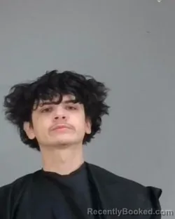 Mugshot of TRENT OWEN WILSON