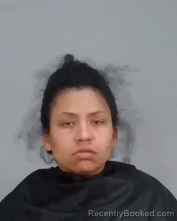 Mugshot of ELISA MARIE LEVINE