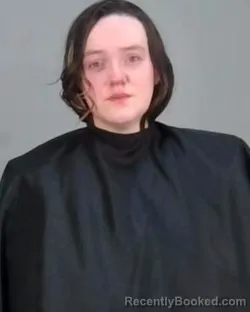 Mugshot of LINDSEY MICHELLE SHULTZ