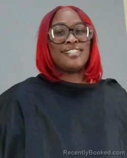 Mugshot of SARAH LEE